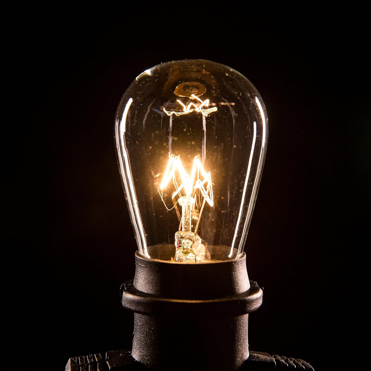 Hometown Evolution, Inc. Commercial E26 String Lights with 16 Gauge Wire (50 Foot 25 Socket, S14 11 Watt Clear Bulb)